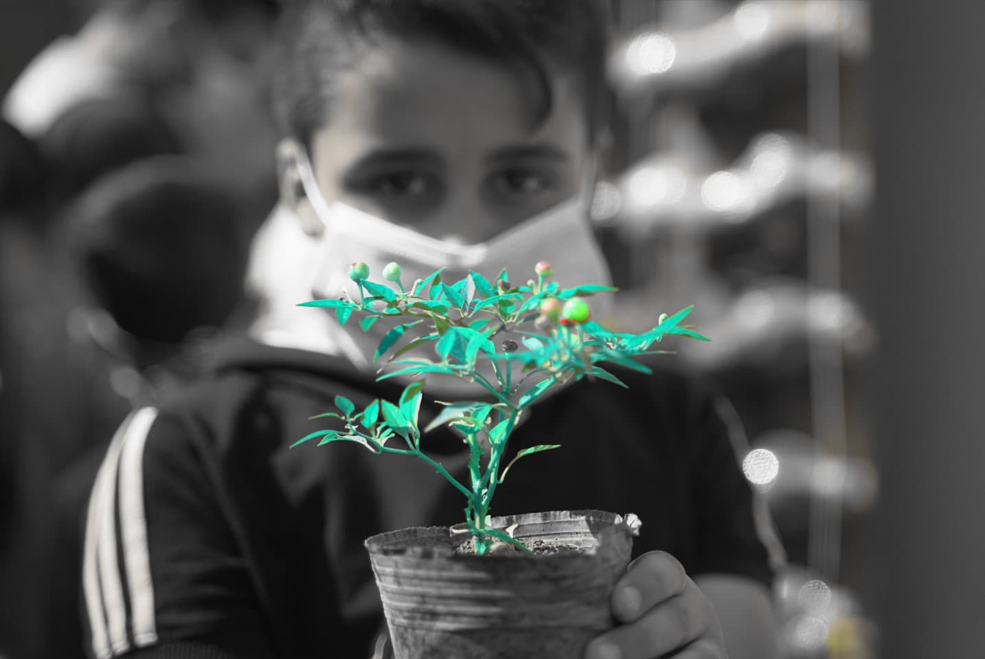 Kid wearing a mask and holding a plant vessel with a sprout growing inside.